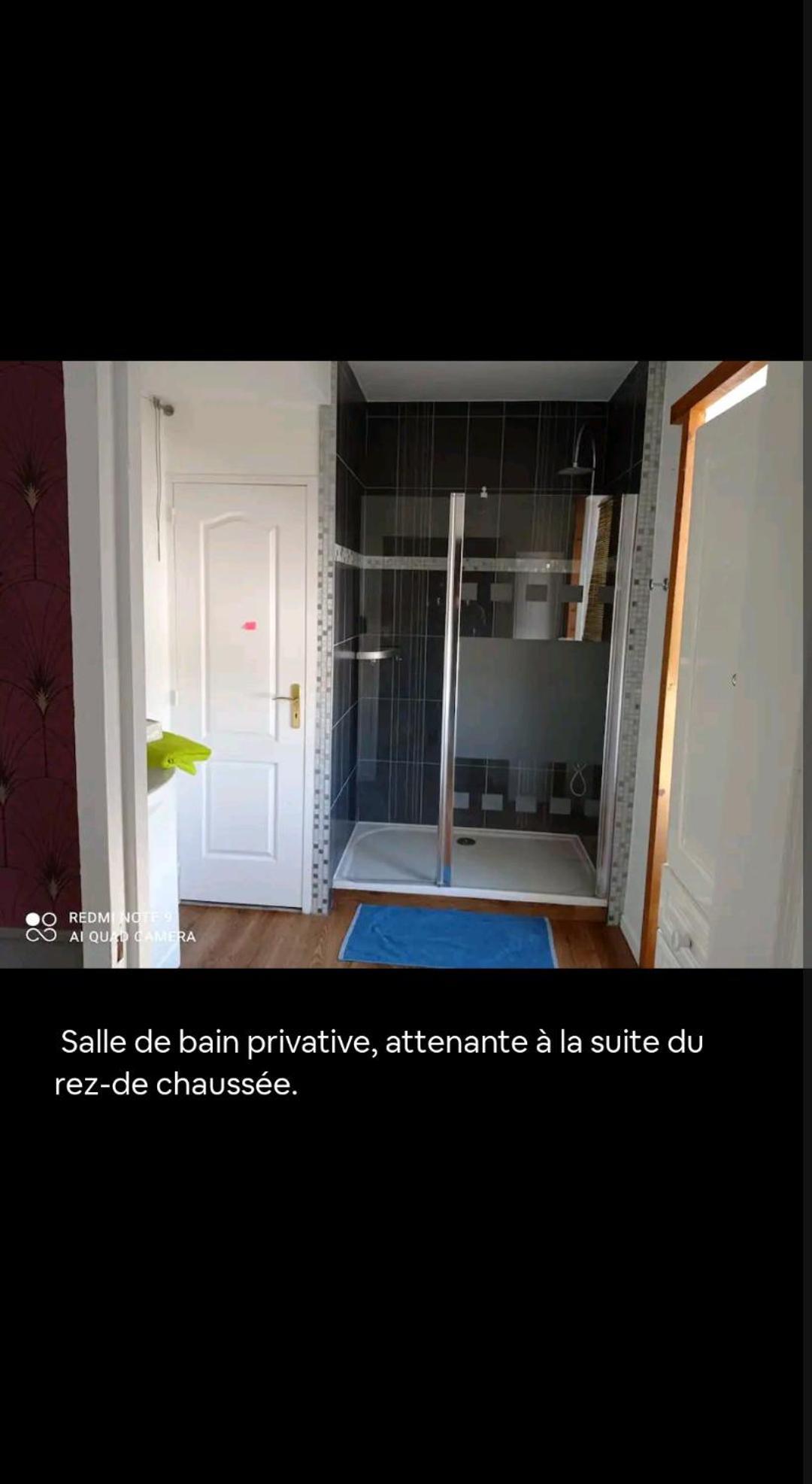 A Quelques Pas Du Moulin Blanc Villa Brest Room photo